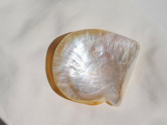 Mother of Pearl Dish