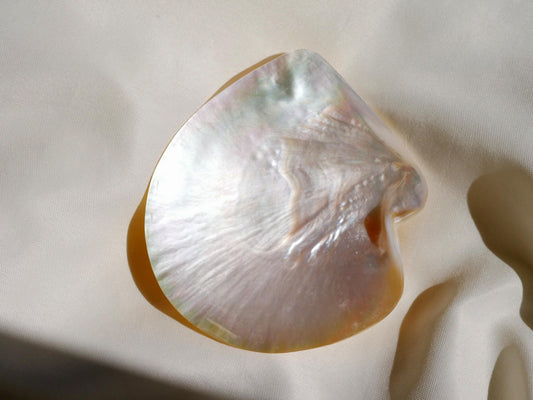 Mother of Pearl Dish